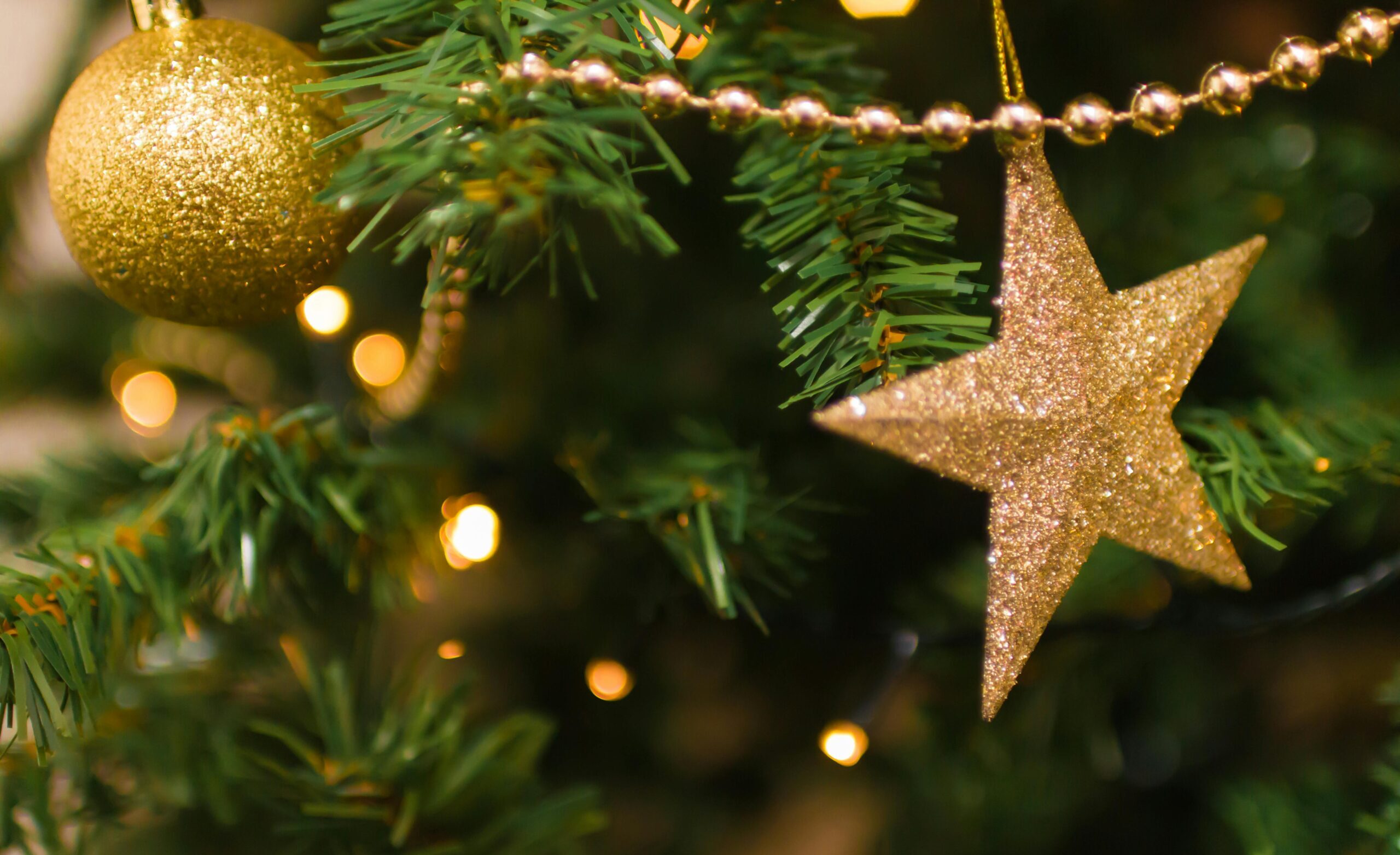 Christmas at Routes Hub